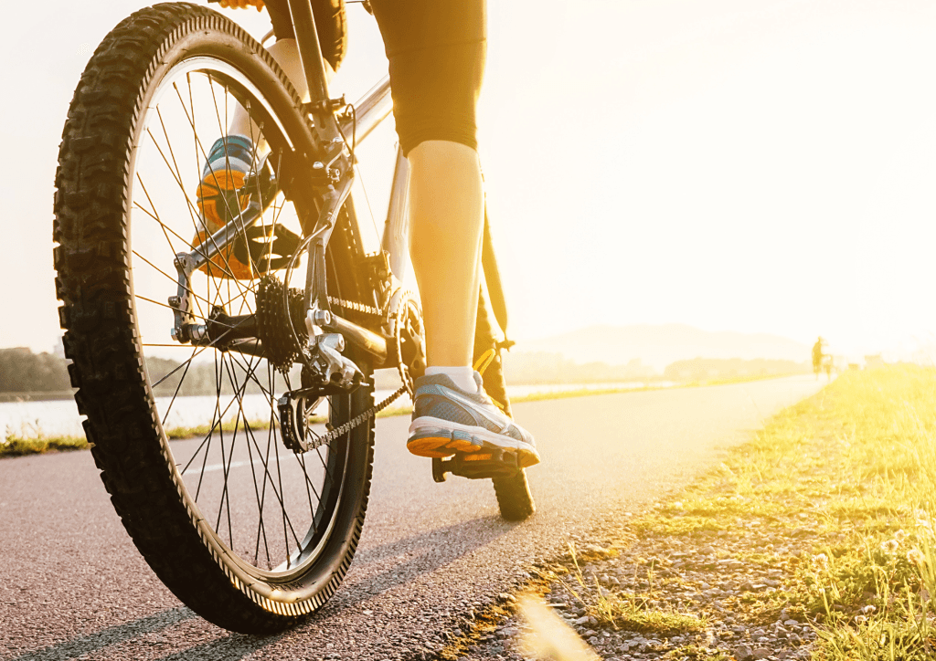 4. Cyklistika v okoli | Městské kulturní středisko Jaroměřice nad Rokytnou